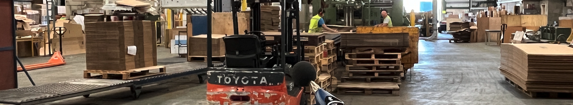 Noise Risk Assessments - Environmentally Sound Limited